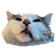 PomDerp