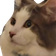 PomWut