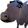 noGrain