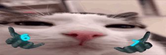 plinXseven emote