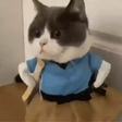 CatReally emote