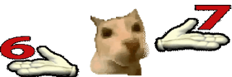 67Cat emote