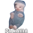 CatPaKama emote