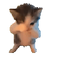 SCUBA emote