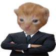 suitBert emote