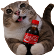 CatCoca emote