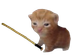 caneBert