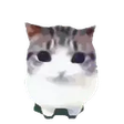 DAMDAM emote