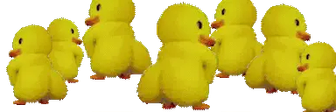groupDuck emote