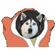 FloppyBlankies emote